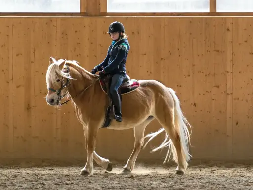 Reiterin mit Helm und Pferd in Reithalle. Beachten Sie die Bahnregeln beim Reiten für Sicherheit und Harmonie.