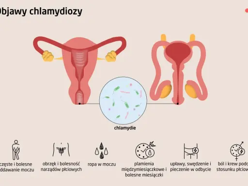 Ilustracja przedstawia układ rozrodczy kobiety i mężczyzny. U mężczyzn chlamydia może objawiać się bólem podczas oddawania moczu i stosunku.