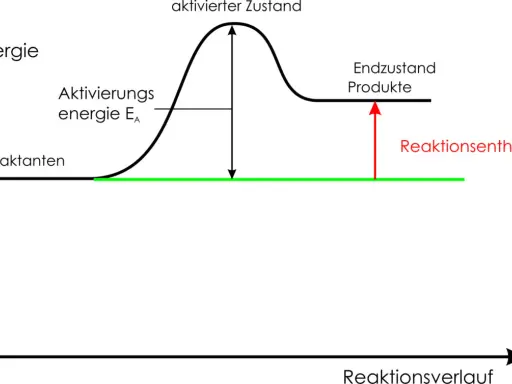 Energieprofil einer endothermen Reaktion: Reakanten steigen über Aktivierungsenergie zum aktivierten Zustand, dann zu Produkten mit höherer Energie.
