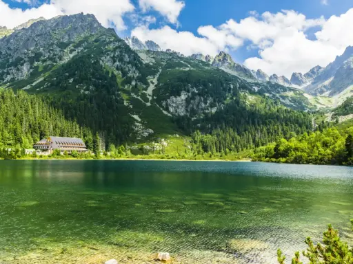 Malownicze Tatry Morskie Oko z krystalicznie czystą wodą, otoczone zielonymi lasami i skalistymi szczytami.