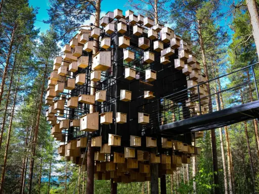 Treehotel Sweden: en sfärisk byggnad täckt av fågelholkar, omgiven av tallskog. En gångbro leder till den unika arkitekturen.