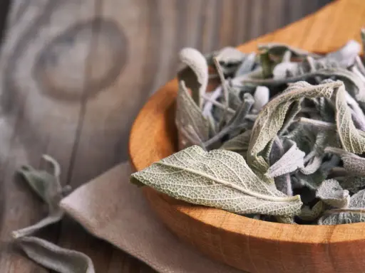 Get inspired for your next salbei rezepte! Getrocknete Salbeiblätter in einem Holzlöffel, bereit für köstliche Gerichte.