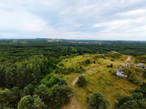 Krajobraz z wapiennymi ostańcami i ścieżkami na tle lasów i miasteczka. Jura Krakowsko-Częstochowska zachwyca zielenią i skalnymi formacjami.