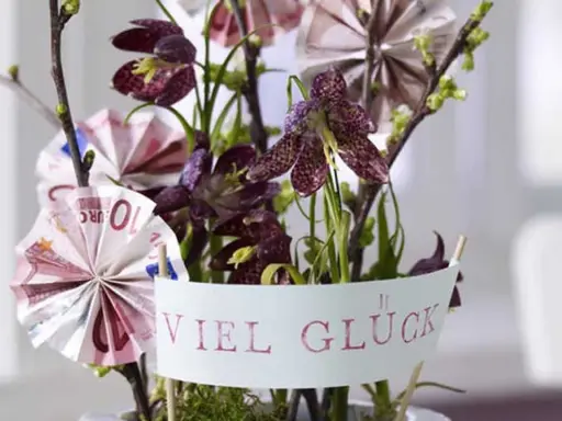 Kreative Geldgeschenke basteln: Ein Blumenarrangement mit gefalteten Euroscheinen und der Botschaft "Viel Glück".
