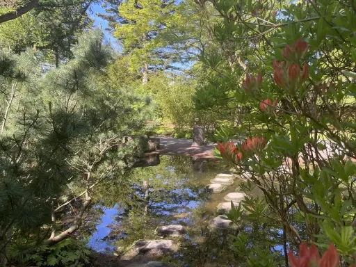 En lugn damm med stenar som leder över vattnet i en vacker del av botaniska trädgården i Göteborg.
