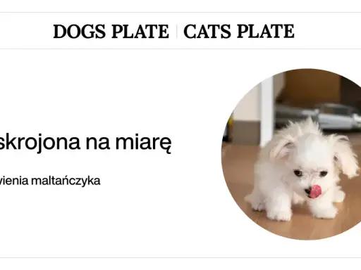 Zasady żywienia maltańczyka: dieta skrojona na miarę dla Twojego pupila.