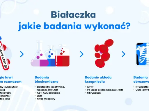 Białaczka: jakie badania wykonać? Schemat przedstawia morfologię krwi, badania biochemiczne, krzepnięcia i obrazowe.