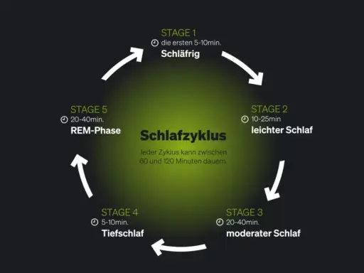 Schema des Schlafzyklus mit Phasen: Schläfrig, leichter Schlaf, moderater Schlaf, Tiefschlaf und REM-Phase. Ein Zyklus dauert 60-120 Minuten.