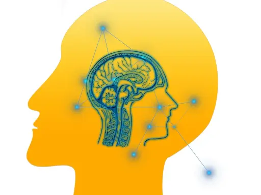 Cerebro humano con conexiones neuronales, representando el trastorno procesamiento auditivo.