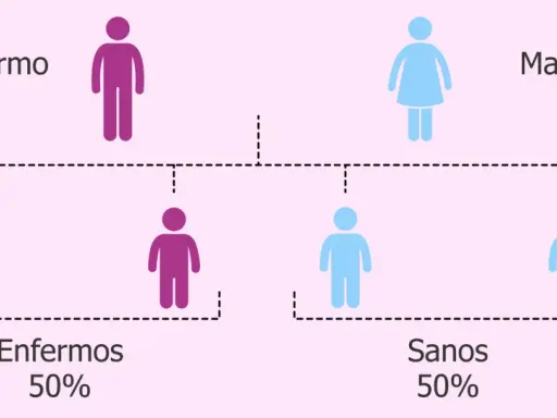 Diagrama de herencia genética: padre enfermo (morado) y madre sana (azul) tienen 50% de hijos enfermos y 50% sanos.
