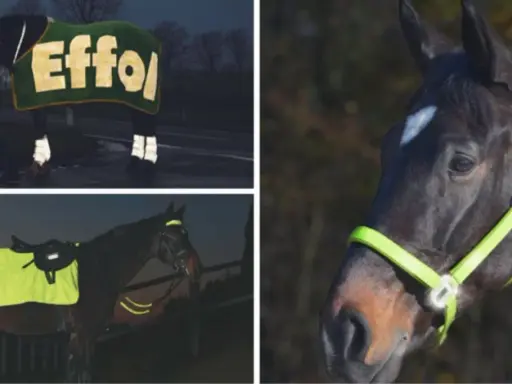 Sicher reiten im dunkeln mit reflektierender Ausrüstung. Pferde und Reiter sind gut sichtbar, auch bei Nacht.