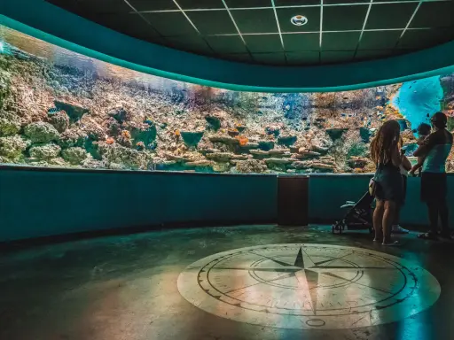 Familia admira un acuario con corales y peces. Una actividad ideal que ver en Sevilla con niños.