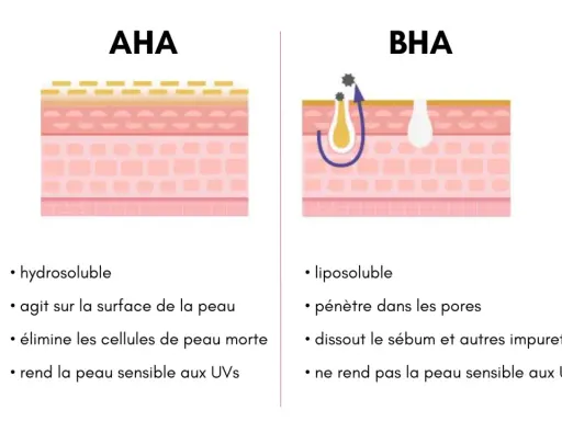 Comparaison AHA et BHA : l'un agit en surface, l'autre pénètre les pores pour dissoudre le sébum. Aha, le BHA est liposoluble !
