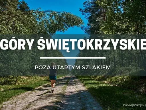 Kobieta idzie leśną ścieżką w Górach Świętokrzyskich, odkrywając nowe szlaki poza utartym szlakiem.