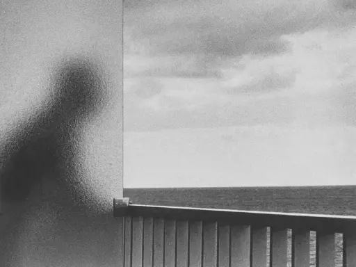 A silhouette of a person, reminiscent of a Peter Fetterman photograph, looks out at the ocean from behind a frosted glass.