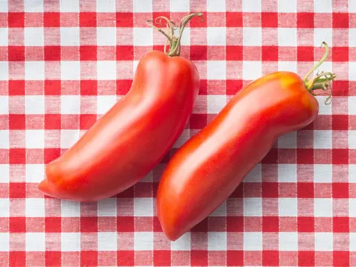 Deux tomates cornues des Andes, rouges et allongées, reposent sur une nappe à carreaux rouges et blancs.
