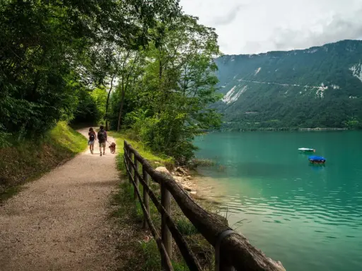 Passeggiata con il cane lungo il sentiero del lago di Santa Croce, con montagne verdi sullo sfondo e acque turchesi.