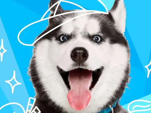 Wesoły husky w czapce, z wywieszonym językiem. Czy to rasa psa do mnie pasuje?
