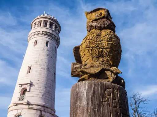 Gdzie są góry? Sowa z drewna i wieża obserwacyjna na tle błękitnego nieba.
