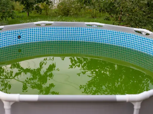 Una piscina inflable con agua verde y reflejos de árboles.
