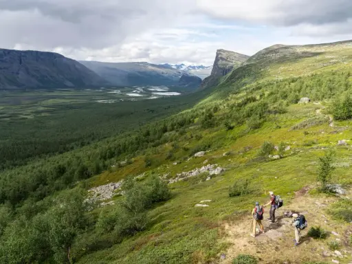 Vandrare njuter av utsikten över Sarek nationalpark, med en vidsträckt dalgång och slingrande floder.