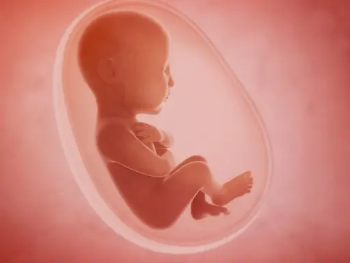 Płód w łonie matki, otoczony przez zielone wody płodowe, rozwija się w bezpiecznym środowisku.
