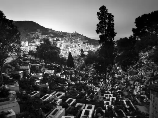 Vue d'un cimetière en pente, avec la ville d'Alger en arrière-plan. L'expression de Bab El Oued se lit dans cette vue mélancolique.