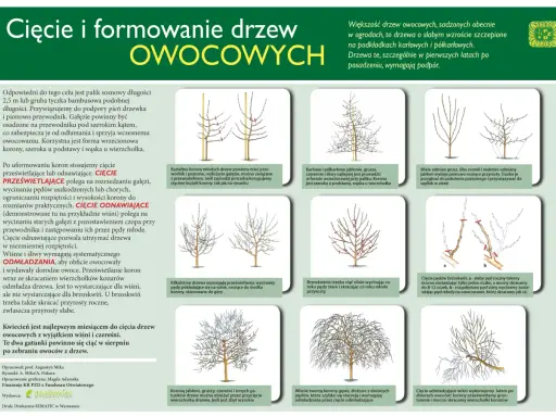 Przycinanie drzew owocowych: Odkryj sekrety obfitych zbiorów!