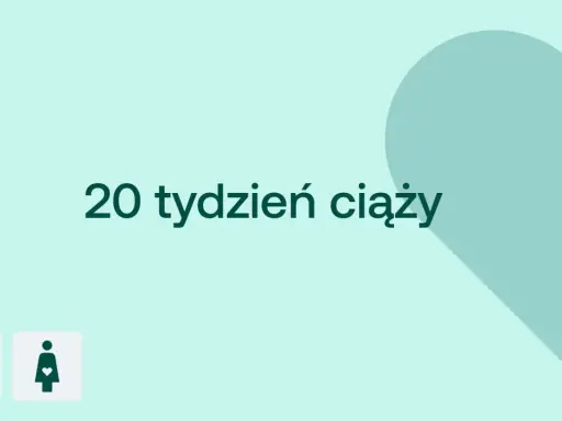 20 tydzień ciąży. Serce i ikony D+ oraz kobiety w ciąży na jasnym tle.