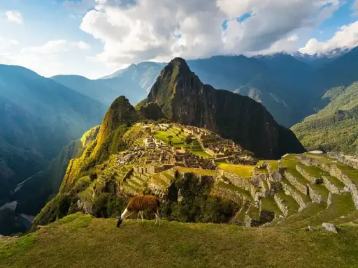 Un lama pasta en la cima de una montaña, contemplando la majestuosidad de que es Machu Picchu, una ciudadela inca entre picos andinos.