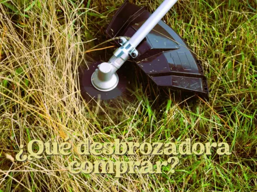 Cabezal de desbrozadora cortando hierba seca y verde. ¿Qué desbrozadora comprar?