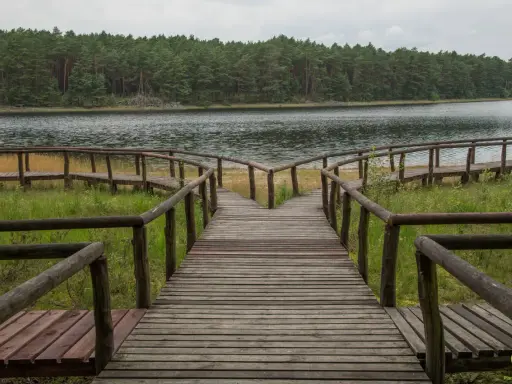 Drewniana kładka prowadzi do jeziora otoczonego lasem. To idealne miejsce, by poczuć magię Borów Tucholskich.