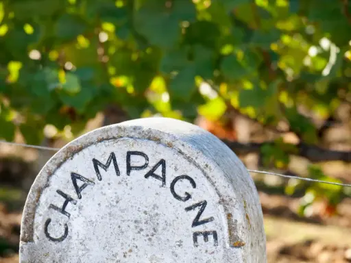 Ein Stein markiert das Gebiet, woher Champagner kommt. Weinreben im Hintergrund.