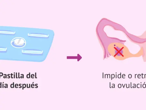 Pastilla del día después: su efecto es impedir o retrasar la ovulación, lo que puede afectar tu ciclo menstrual.