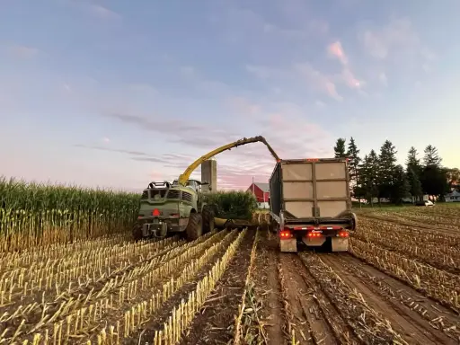 A forage harvester fills a trailer with bmr corn silage at sunset. The field is harvested, leaving stubble.