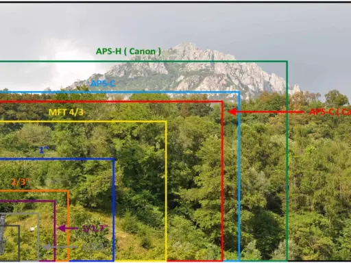 Confronto visivo di dimensioni sensore: dal più piccolo 1/1.7" al più grande APS-H (Canon), con il sensore full frame come riferimento implicito per la massima copertura.