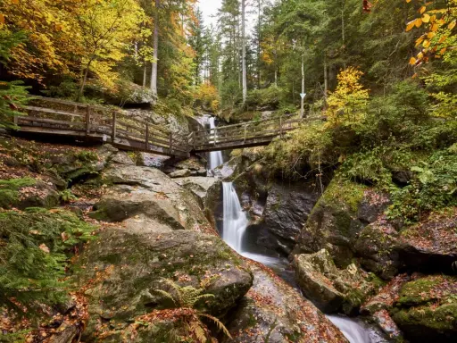 Herbstliche Szenerie mit Wasserfall und Holzbrücken im Bayerischen Wald. Perfekt für Ausflugsziele.