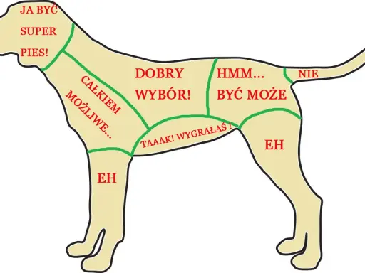 Mapa pokazuje, gdzie głaskać psa: "Super pies!" na głowie, "Dobry wybór!" na bokach, "Całkiem możliwe..." na łapach.