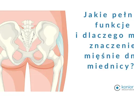 Anatomia miednicy, ilustracja przedstawiająca kości miedniczne i kręgosłup krzyżowy, z tekstem pytającym o funkcje mięśni dna miednicy.