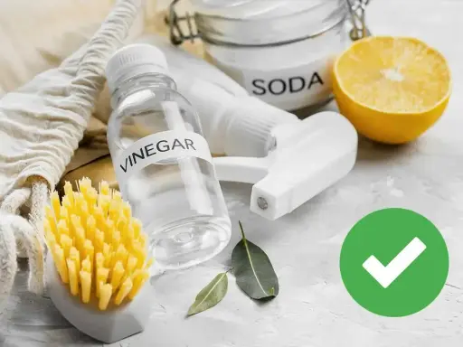 Aceto, bicarbonato e limone: ingredienti naturali per il trattamento delle acque e la pulizia ecologica. Spazzola gialla e foglioline verdi.