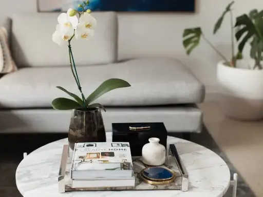 En vit orkidé i en mörk vas, böcker och en svart ask med blå sten utgör en elegant dekoration soffbord.