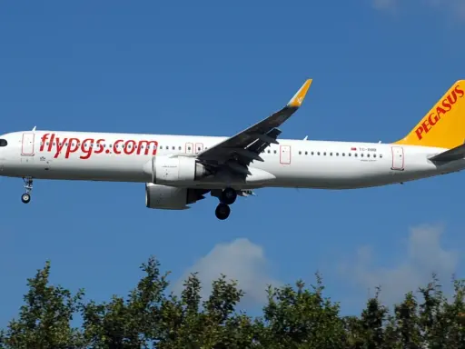 Samolot Pegasus Airlines z napisem "flypgs.com" na kadłubie i żółtym ogonem. W tle błękitne niebo i zielone drzewa. Idealny do przewozu bagażu.