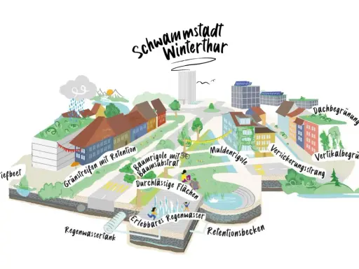 Winterthur als Schwammstadt: Gründächer, Baumrigolen, Mulden und Retentionsbecken speichern Regenwasser.
