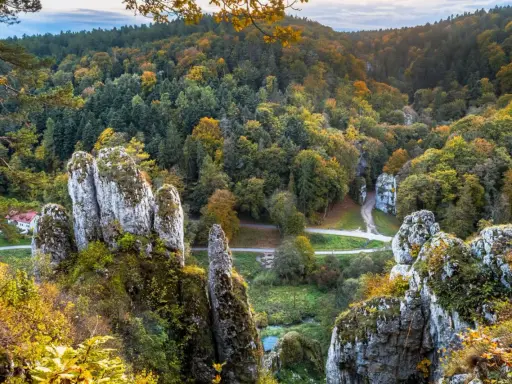 Jesienne barwy w Ojcowskim Parku Narodowym. Wapienne skały porośnięte mchem i jesienną roślinnością, otoczone lasem w odcieniach złota i zieleni.