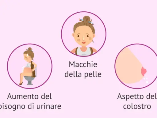 Il sesto mese di gravidanza porta smagliature, macchie sulla pelle, aumento del bisogno di urinare, colostro e problemi alla schiena.