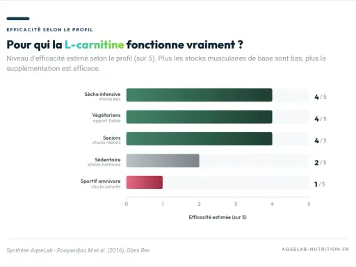 Graphique montrant l'effet de la L-carnitine : plus les stocks sont bas, plus l'efficacité est grande. Idéal pour sèche intensive, végétariens et seniors.