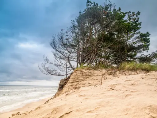 Piaszczysta wydma z sosnami, morze i chmury. To może być najpiękniejsza plaża w Polsce.
