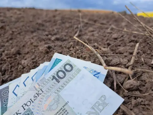 Pieniądze na ziemi, symbolizujące koszty rolnictwa. Zastanawiasz się, ile wynosi składka KRUS na kwartał?