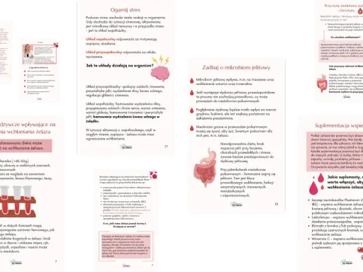 Jak podnieść poziom żelaza? Zadbaj o mikrobiom jelitowy, ogranicz stres i wyklucz przyczyny zaburzeń wchłaniania.