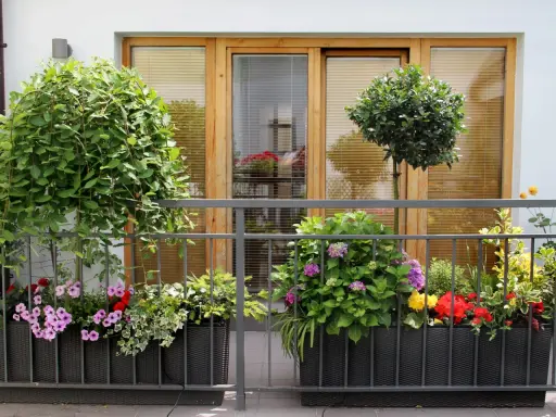 Kwiaty i drzewka na balkonie to świetny sposób, jak osłonić balkon w bloku. Kolorowe pelargonie, hortensje i bluszcz tworzą zieloną ścianę.
